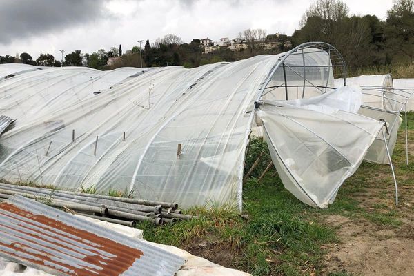 Des serres impactées par les fortes rafales de vent dans le quartier des Plans de Villeneuve-Loubet : 