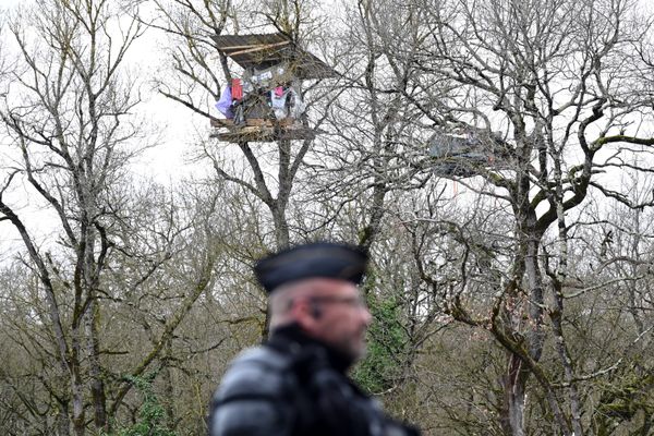 Les écureils sont sous la surveillance des forces de l'ordre.