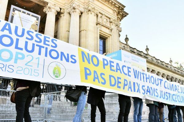 Une trentaine d'activistes s'était donné rendez-vous au Grand Palais pour dénoncer le greenwashing de certaines entreprises, en marge de la COP21.