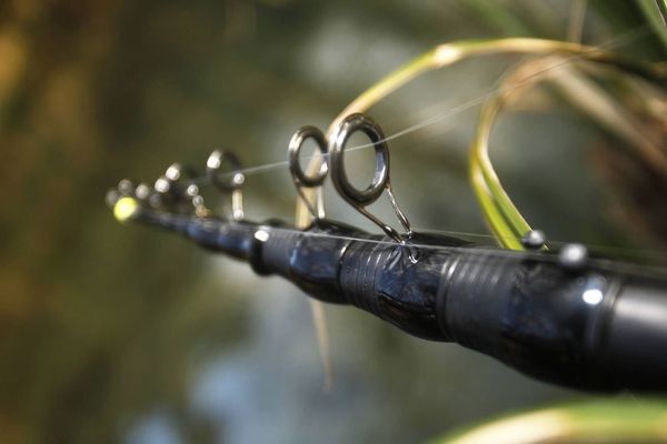 Avec 1 650 pratiquants en 2018 dans le secteur du Val-de-Marne, la Marne est très prisée par les pêcheurs.