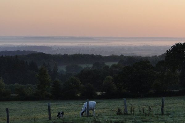 Brume matinale sur la campagne du Perche...