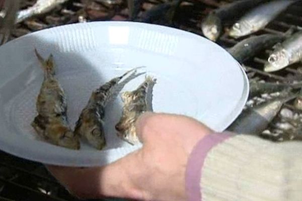 Les sardines de la colère devant le rectorat de Montpellier