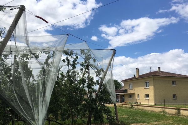 Situés à proximité des vergers, les riverains développeraient davantage de cancer et autres pathologies neurologiques et endocriniennes