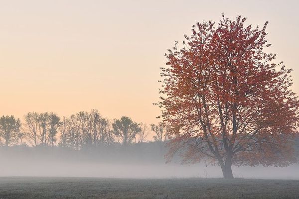 Les gelées matinales seront fréquentes samedi 17 novembre