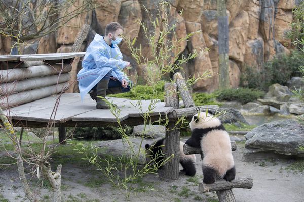 Les petites exploratrices sont restées dehors durant une heure.