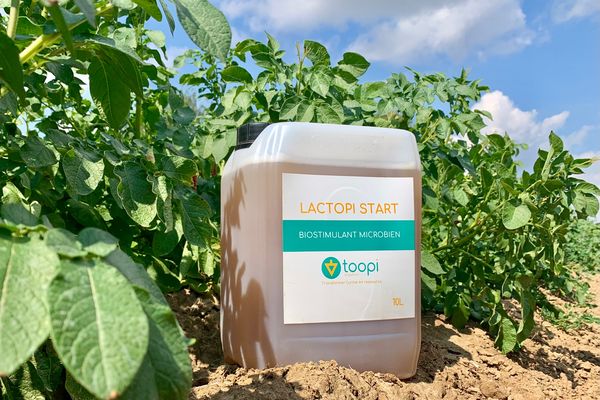 Le Lactopi Starts de Toopi organics est le fruit de trois années de recherche