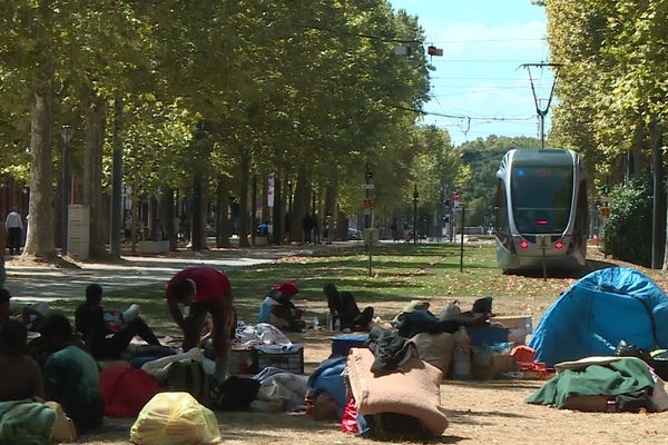 Ils sont une centaine à camper sur les allées Jules-Guesde, certains devraient  faire leur rentrée dans quelques jours.