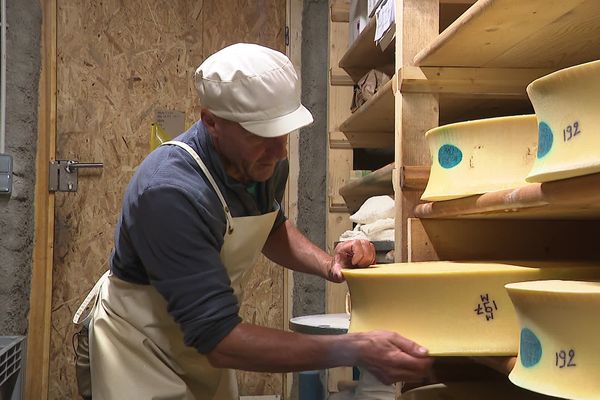 C'est, si l'on peut dire, la crème de la crème des Beaufort d'été qui se fabrique à plus de 2000 mètres d'altitude en Savoie : le Beaufort chalet d'alpage. Moins de 10 000 meules sur les 54 000 produites à l'été 2023.