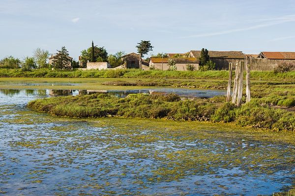 L'Adena organise l'événement Toposcopie pour les journées du patrimoine