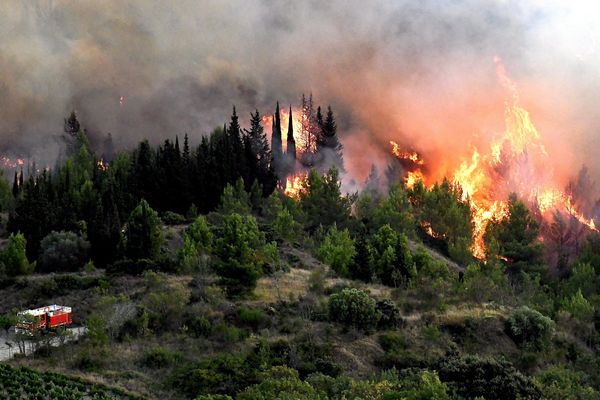 Un incendie s'est déclenché dans l'Aude mercredi 14 août. Les pompiers du Limousin sont partis en renfort.