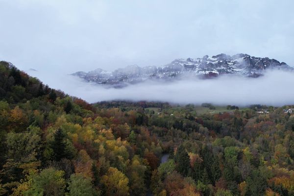 En Auvergne-Rhône-Alpes, 80% des forêts appartiennent à des propriétaires privés.