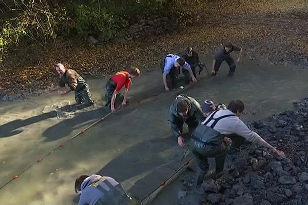 Le lac de 125 hectares abrite une grande quantité de poissons comme les carpes ou les tanches.