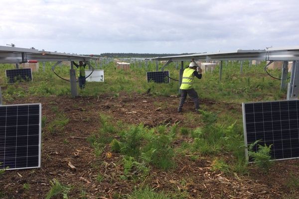 il y aura 24 panneaux solaires dans le parc photovoltaïque de Sainte-Hélène.