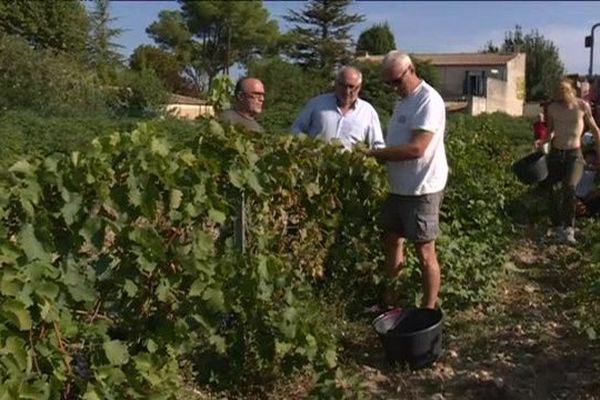 Chateauneuf Du Pape Les Vendanges De La Cuvee Des Hospices