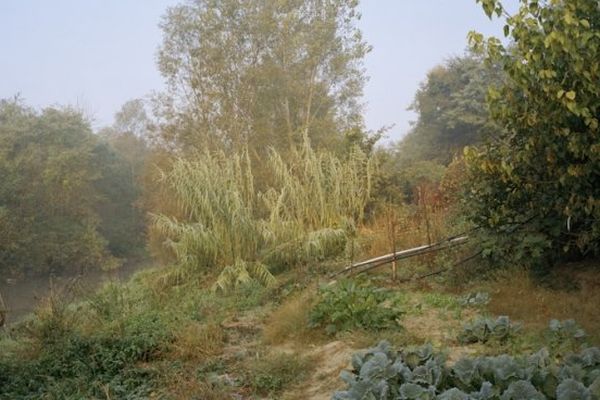 Giuseppe Moccia. 14e édition des Boutographies, rencontres photographiques au Pavillon populaire à Montpellier 