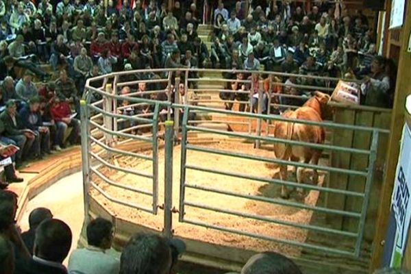 Après la limousine sur le ring, la limousine sur le grand-huit ?