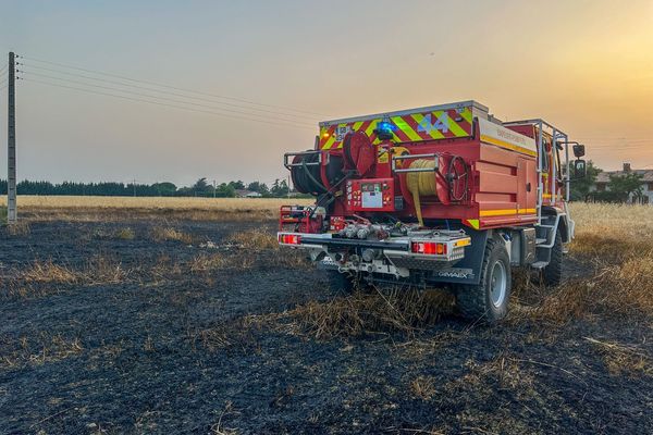 Les sapeurs-pompiers de Haute-Garonne sont intervenus pour éteindre un violent incendie dans un champ agricole à Daux, près de Toulouse, peu après 20h, jeudi 27 juin 2024. Au total, 6 000 mètres carrés de récolte sur pied sont partis en fumée.