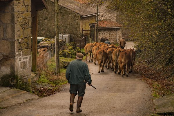 Grippe aviaire, sécheresse, retour du loup, hausse de prix, le monde agricole doit faire face à de très nombreuses difficultés.