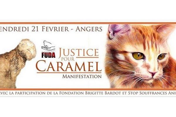 Angers Une Manifestation Pour Caramel Le Chat Torture