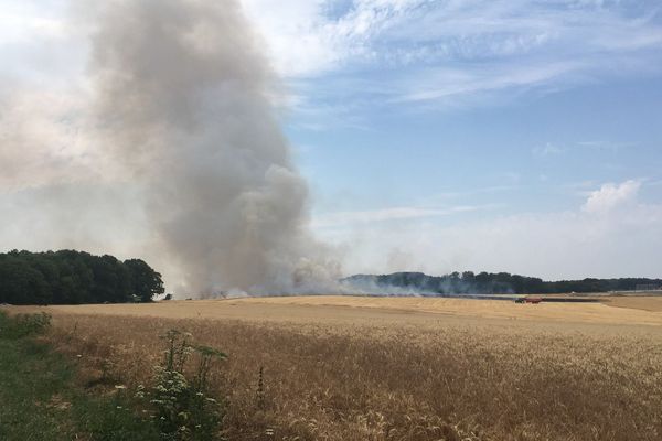 Ce n'est pas le premier feu de champs qui se déclare en cette fin de mois de juillet particulièrement sec dans la Marne