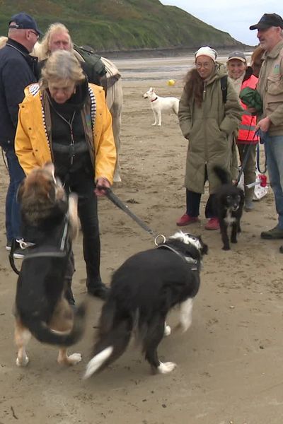 A Plérin, rassemblement contre l'interdiction de plages aux animaux à Plérin