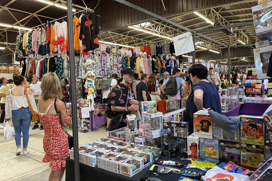 PICTURES.  The Kamo Con, Asian and geek culture festival in Dijon, as if you were there