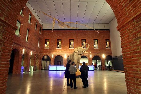 Muséum de Toulouse, spectacle sons et lumières pour la Nuit au musée 2015