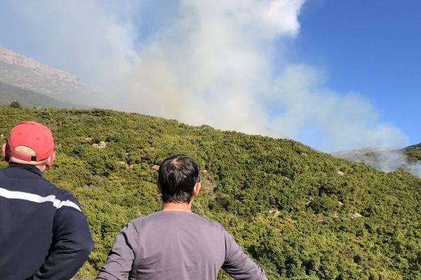 Le feu sur les hauteurs de Patrimonio est inaccessible pour les pompiers, qui ne disposent actuellement que de moyens terrestres.