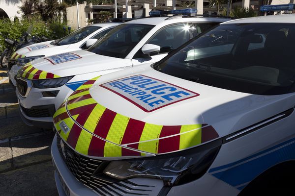 Trois frères, interpellés pour trafic de drogue à Strasbourg, seront jugés le 23 octobre 2024.