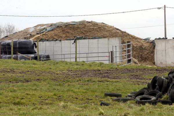 Un stockage d'ensilage de maïs s'est effondré le 8 mars dernier sur des élèves du collège de Berlaimont en sortie scolaire.
