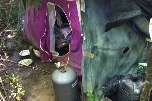 Le cambrioleur anglais avait installé son campement dans les bois de Surin, dans la Vienne