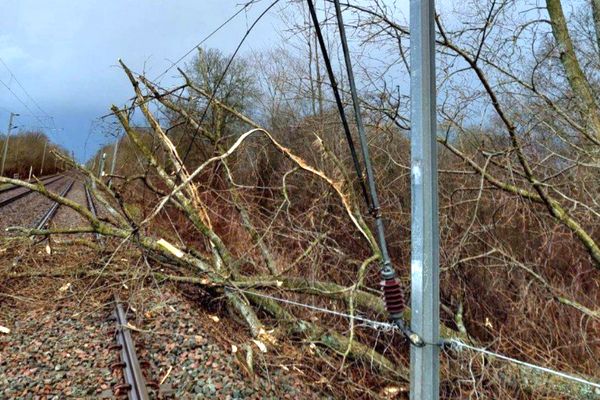 Un arbre s'est couché sur les voies SNCF entre Niort et Mauzé-sur-le Mignon.