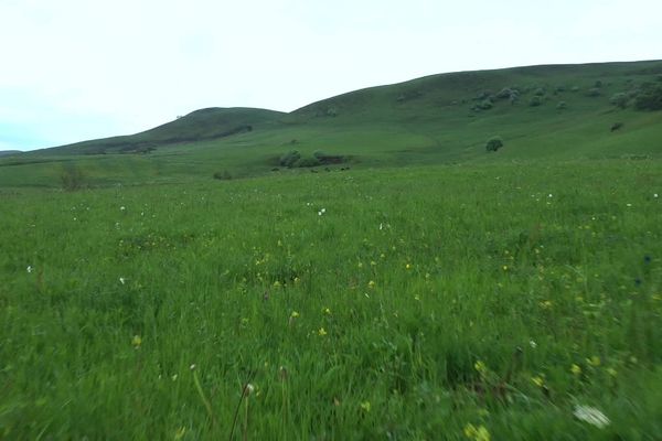 Découvrez la vallée du Bonjon dans le Cantal.