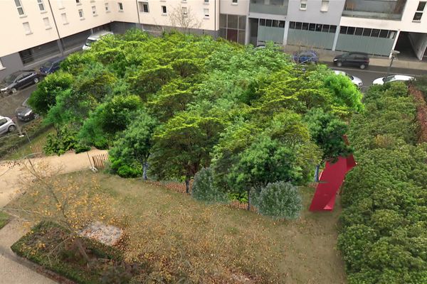 A Rennes, il y a 2 ans, Thierry Renaud a proposé dans le cadre du budget participatif, un projet de micro forêt dans ce square de 165m2 en bas de son immeuble (projection) pour faire baisser la température l’été.