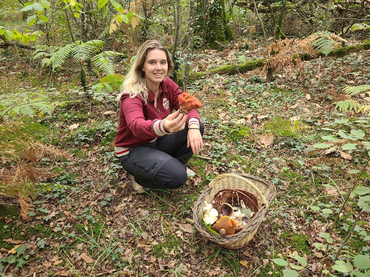 Portrait. Jeune pharmacienne à Rennes, Léna est championne de France des  champignons