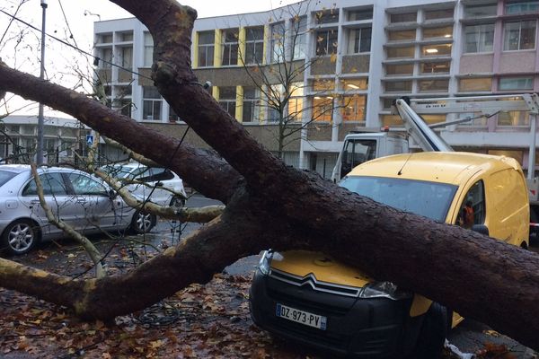 Orléans : un arbre est tombé sur une voiture