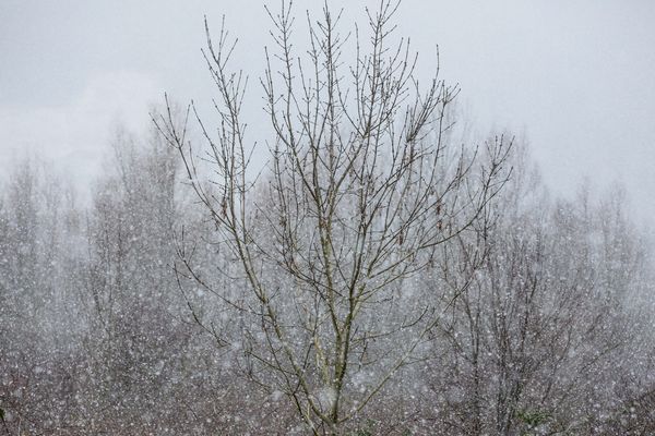 Meteo France La Neige De Retour En Auvergne