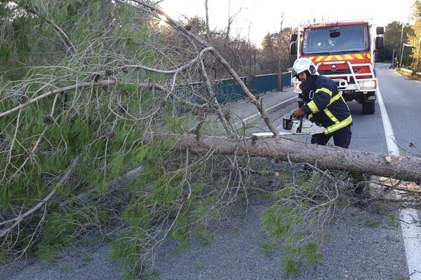 Les pompiers interviennent pour dégager la route entre Villeneuve-Loubet et Roquefort-les-Pins