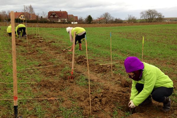 A terme, 200 arbres seront plantés