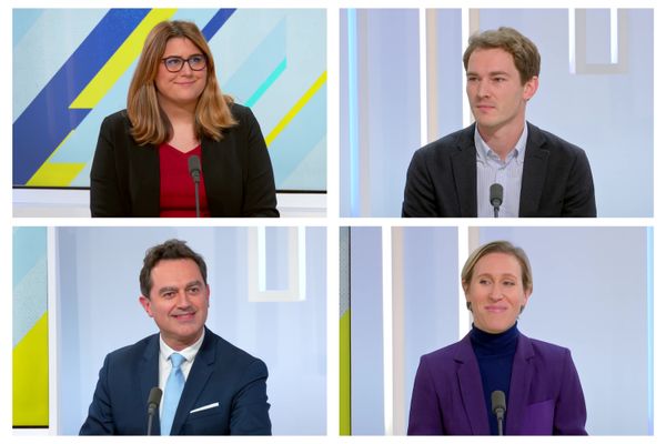 De gauche à droite et de haut en bas : Anne-Sophie Frigout (RN), Victorien Pâté (NUPES), Stéphane Lang (LR), Laure Miller (Renaissance).