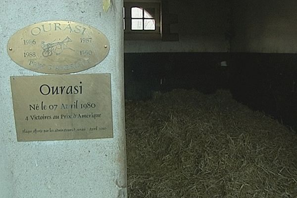 Le boxe d'Ourasi ce samedi après-midi au haras de Gruchy