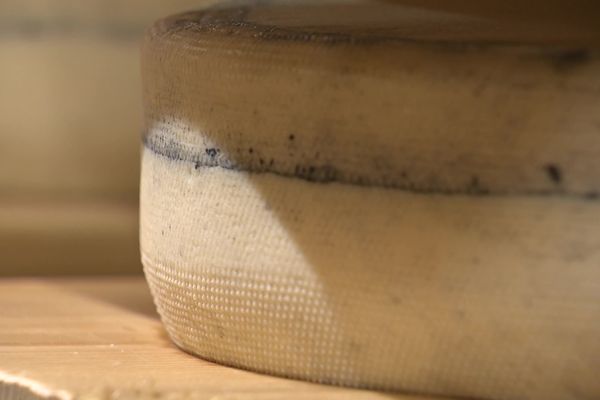 Des lots importants de morbier, tous issus de la même fromagerie, sont rappelés par le gouvernement. Ils pourraient être contaminés à labactérie E.Coli.