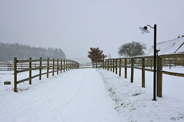 Neige dans l'Orne, 21 janvier 2013