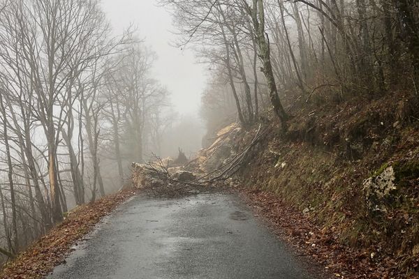 Ain : la RD 103 fermée après une chute de rochers à hauteur de Rossillon - 1/2/21