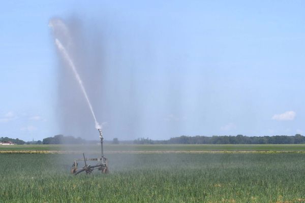 Plaine du Jura : les agriculteurs aussi doivent limiter leur consommation d'eau