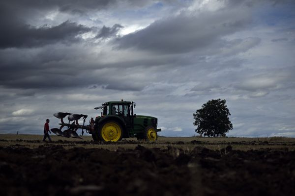 Agriculteur en plein champs, ciel tourmenté