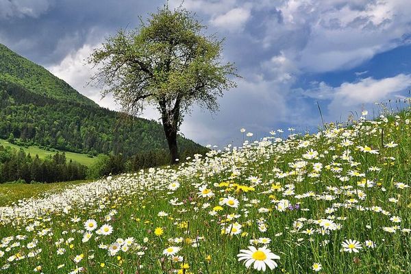 Le temps s'annonce agréable dans la région, assure Météo France 