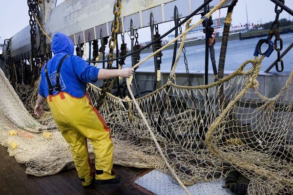 Photo d'un pêcheur néerlandais pratiquant la pêche électique.