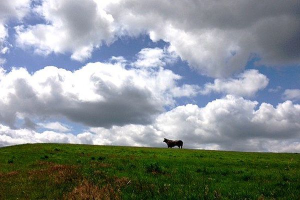 Statue d'un taureau sur une colline à Lannaud (Haute-Vienne)