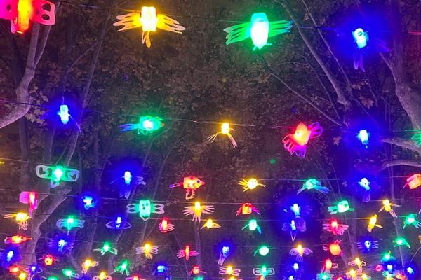 Dans le 3ème arrondissement, une volière colorée surplombe la place Voltaire pour cette nouvelle édition de la Fête des Lumières. Des volatiles luminescents confectionnés par des enfants du quartier.